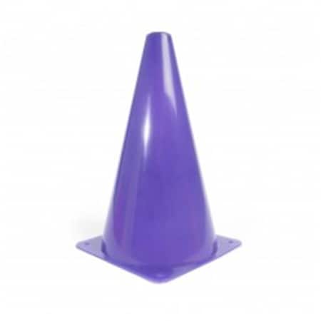 Everrich Industries Cones, Plastic, 15 in Height, Purple EVB-0017-6